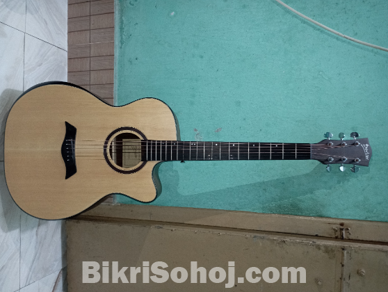 Guitar(deviser LS-570-40)